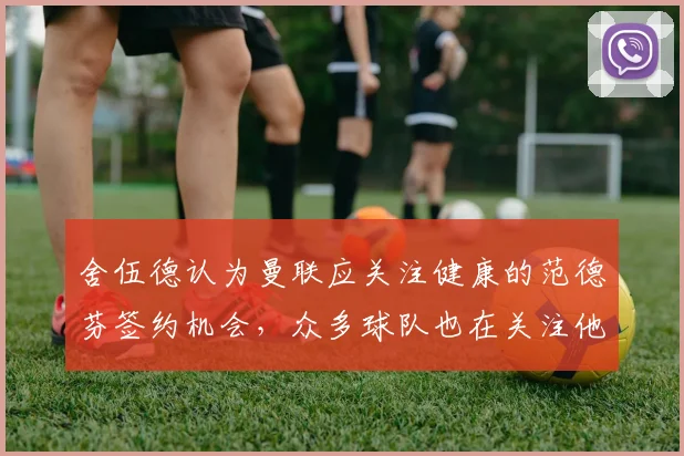 舍伍德认为曼联应关注健康的范德芬签约机会，众多球队也在关注他
