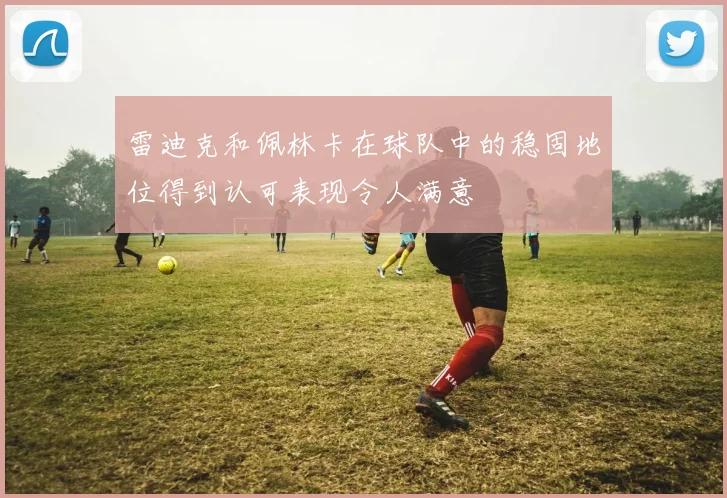 雷迪克和佩林卡在球队中的稳固地位得到认可表现令人满意