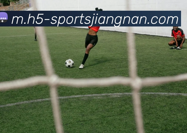 App Interface Preview